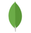 MongoDB